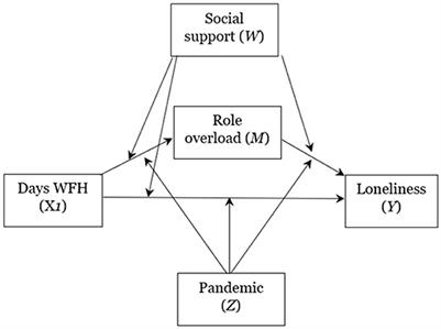 The hidden costs of working from home: examining loneliness, role overload, and the role of social support during and beyond the COVID-19 lockdown